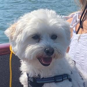 Meet your Posher, Tracey